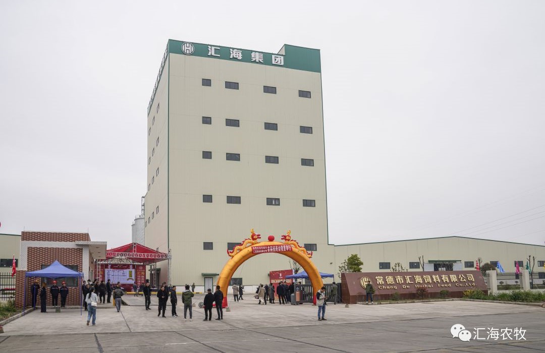 坚持做好饲料！尊龙凯时集团又一家50万吨产能新工厂投产！未来3年华中销量要突破50万吨！